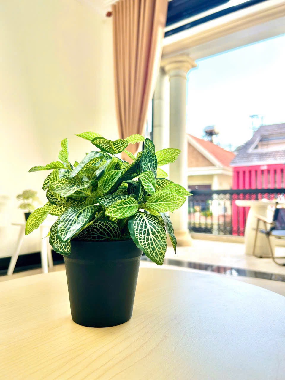 CĂN HỘ 1 PHÒNG NGỦ CỰC RỘNG BAN CÔNG LỚN MÁY GIẶT RIÊNG Ở CÙ LAO ảnh 4